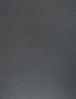 Sol vinyle rouleau BLUSH , Uni/faux uni gris foncé, rouleau 4.00 m