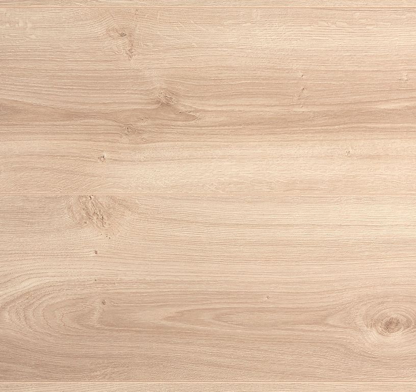 Sol stratifié TRENDTIME6 Parador, aspect Bois nature, lame 24.30 x 220.00 cm