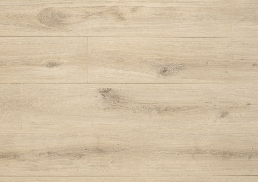 Sol stratifié ORGANIC BIS , aspect Bois Chêne marron Ontario, lame 19.20 x 128.50 cm