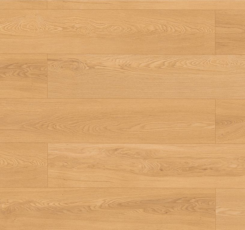 Sol stratifié EASYLIFE 8 MM HYDRO Easylife, aspect Bois chêne doré, lame 19.20 x 128.50 cm