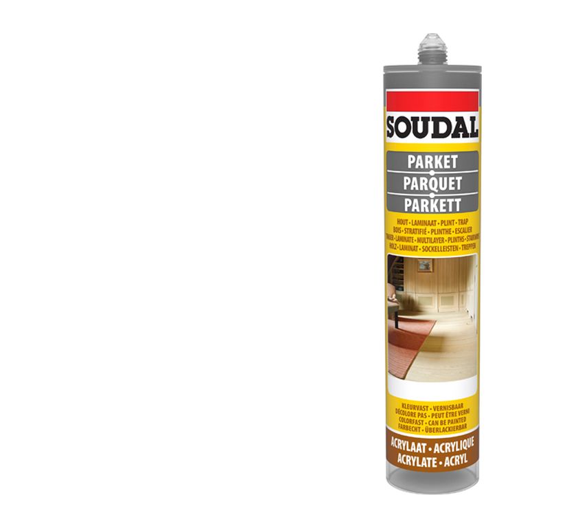 Joint acrylique  MASTIC DE FINITION gris foncé, 290.00 ml