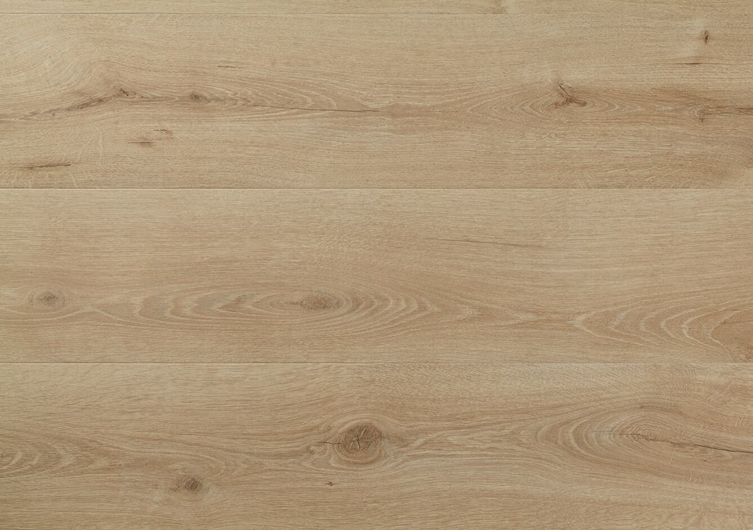 Sol stratifié MAJESTIC Quick Step, aspect Bois chêne de la vallée beige clair, lame 24.00 x 205.00 cm