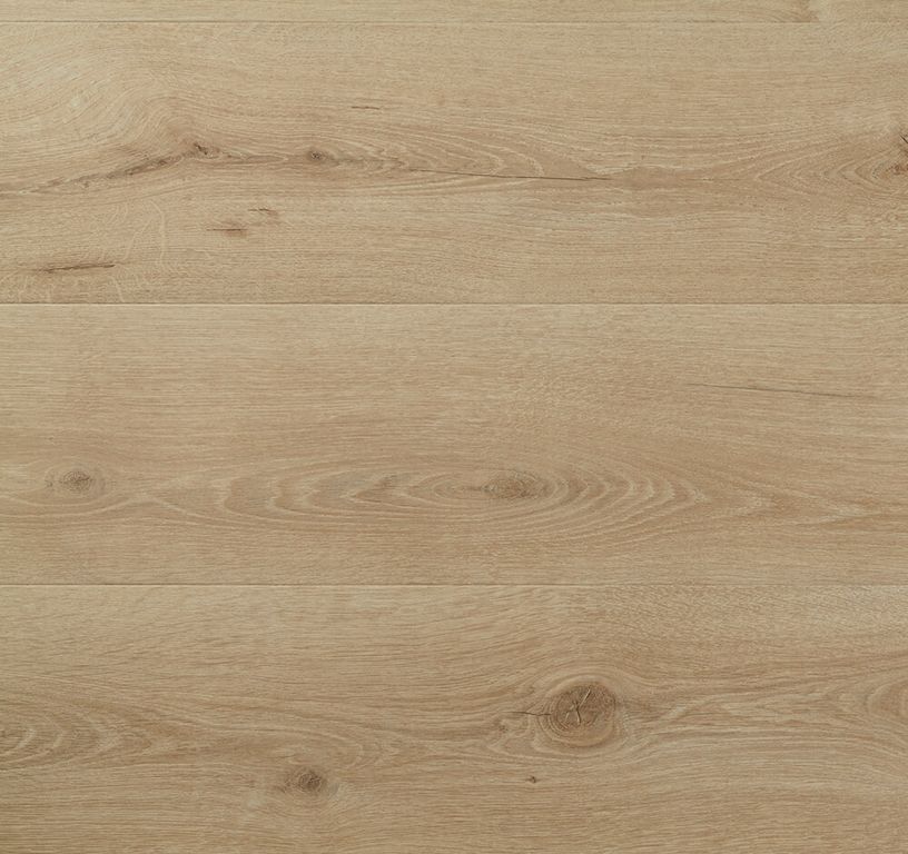 Sol stratifié MAJESTIC Quick Step, aspect Bois chêne de la vallée beige clair, lame 24.00 x 205.00 cm