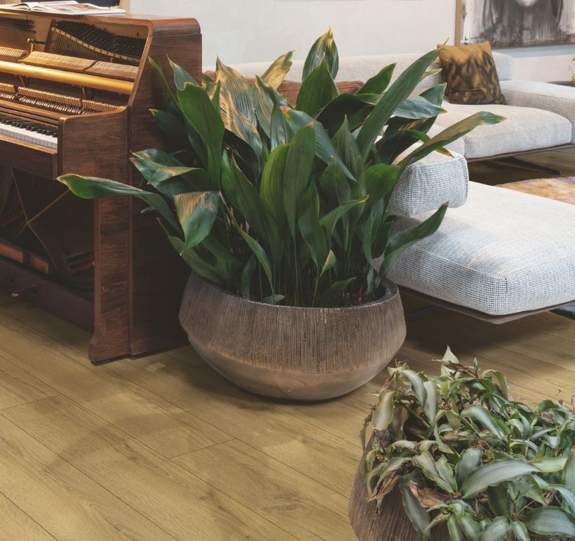 Sol stratifié QS CLASSIC HYDROSEAL Quick Step, aspect Bois chêne miel brun, lame 19.00 x 120.00 cm