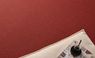 Dalle moquette ALABAMA, col rouge, dim 50.00 x 50.00 cm
