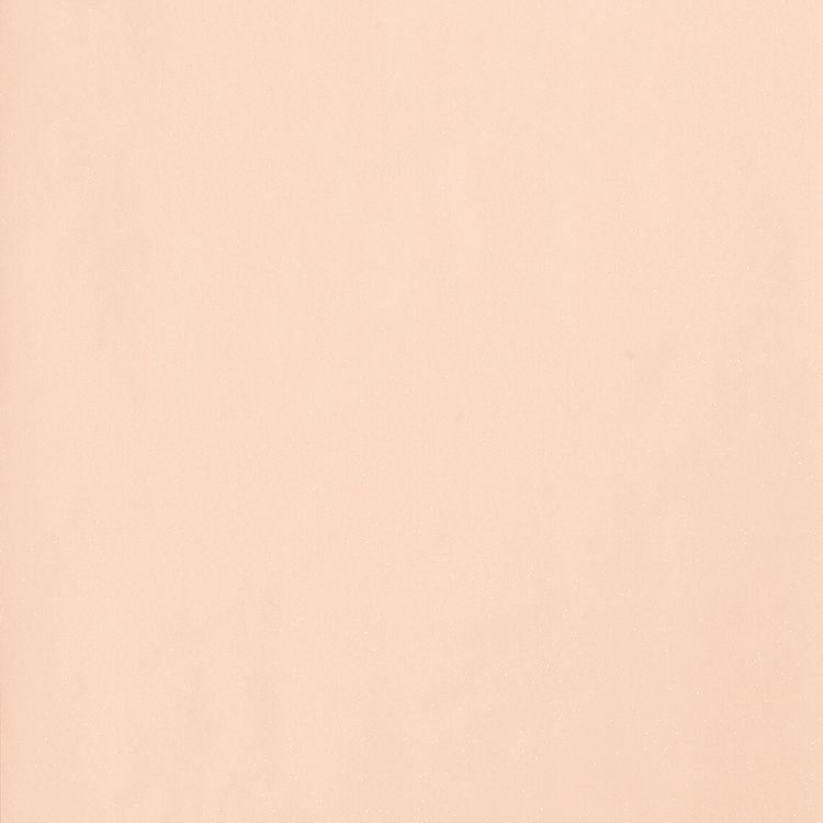 Papier peint PAILLETTE AS Création, Expansé sur intissé décor Unis / Faux unis, beige