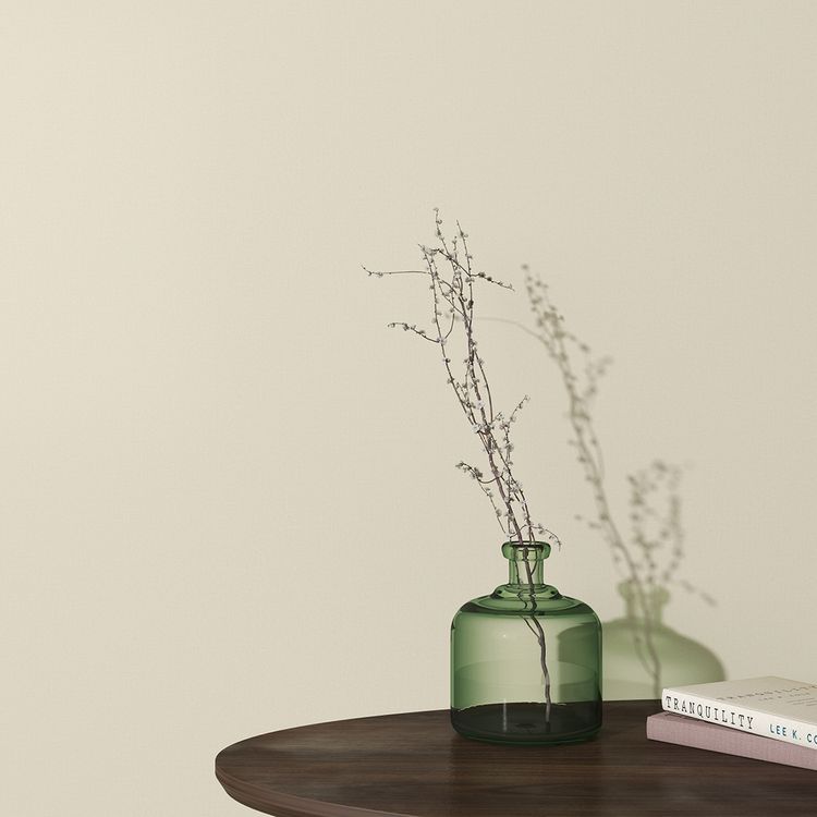 Papier peint RENZO Rasch,  décor Unis / Faux unis, beige