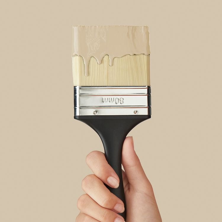 Peinture MUR & BOISERIES MAT, SABLE
