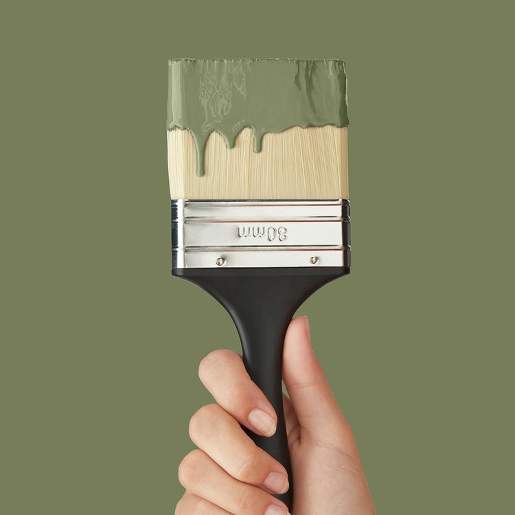 Peinture MUR & BOISERIES MAT, ANETH