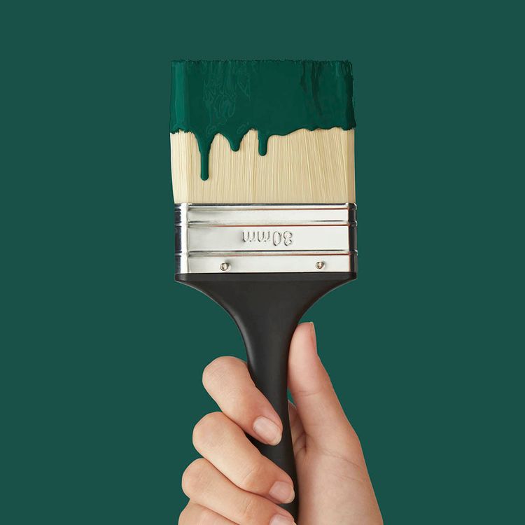 Peinture MUR & BOISERIES VELOURS, COLVERT