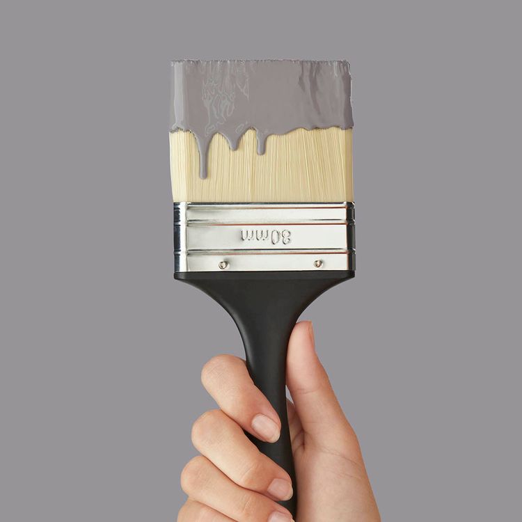 Peinture LAQUE MULTISUPPORT MAT, SOURIS