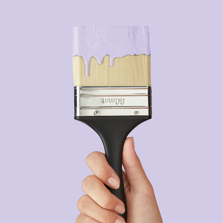 Peinture LAQUE MULTISUPPORT MAT, PARME
