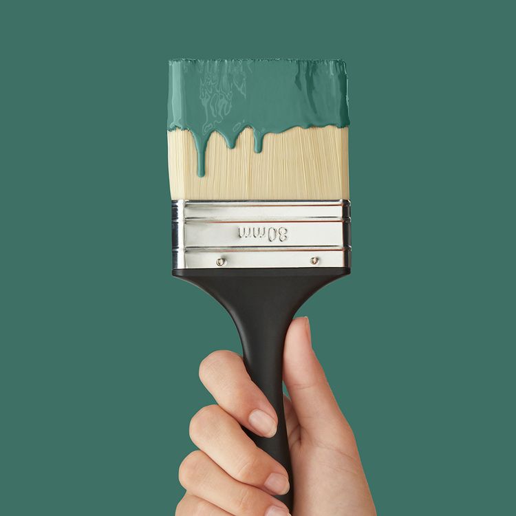 Peinture LAQUE MULTISUPPORT SATIN, TREFLE