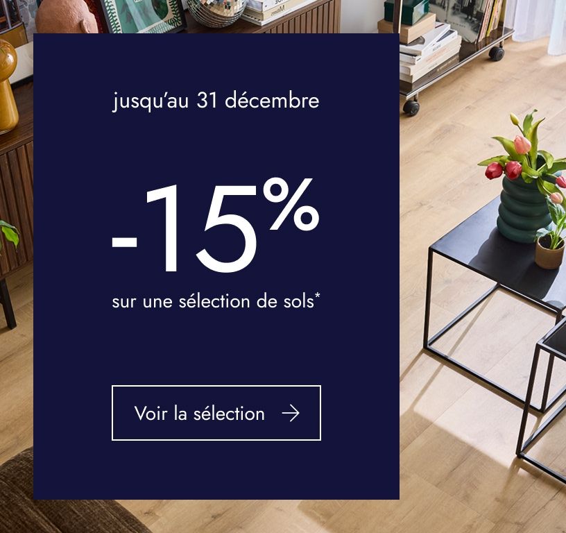 PPL CTA Opé promo sol 13/12 -31/12/2025