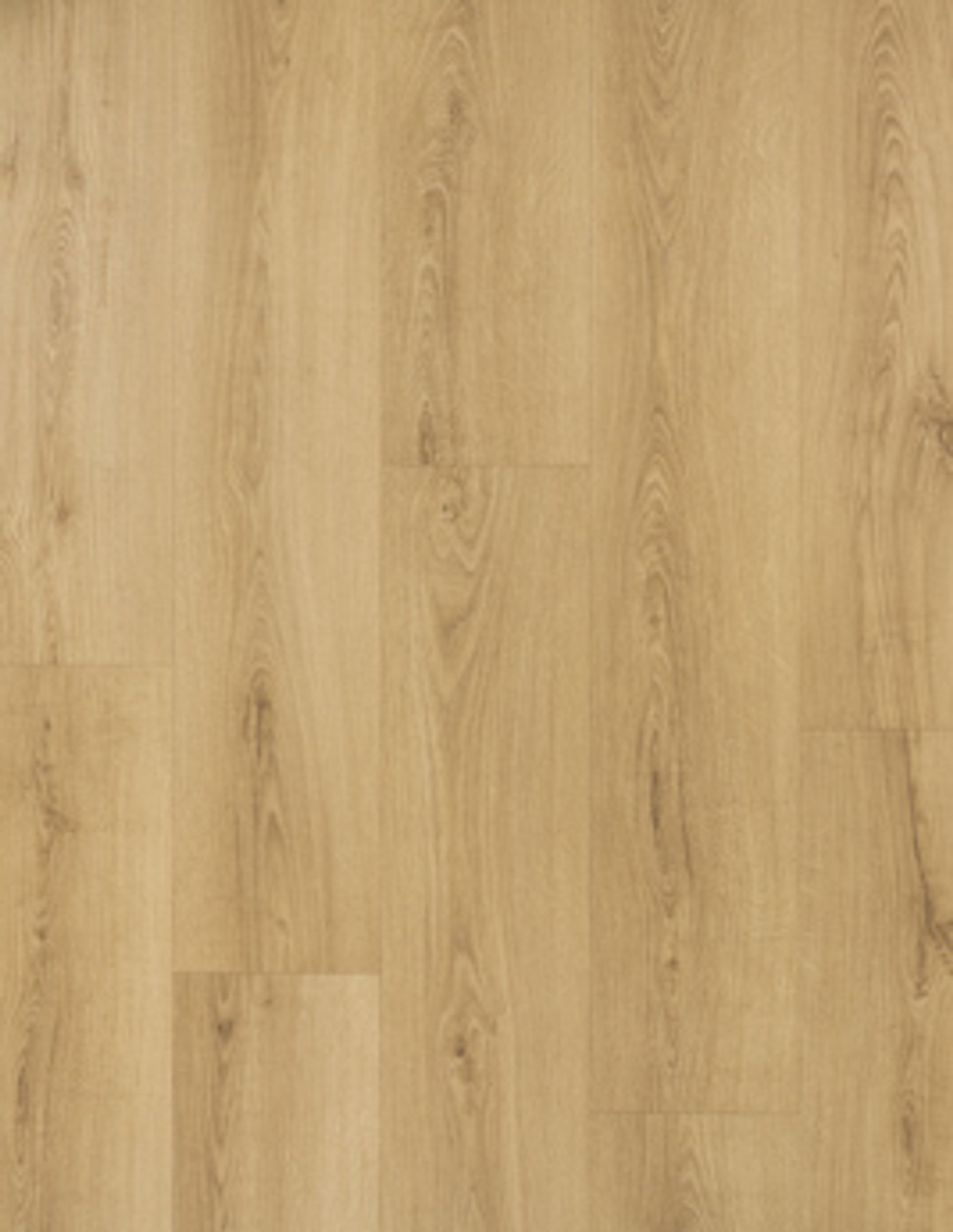 Sol stratifié EASYLIFE LEGEND 2 HYDRO Easylife, aspect Bois Chêne naturel, lame 19.10 x 137.50 cm