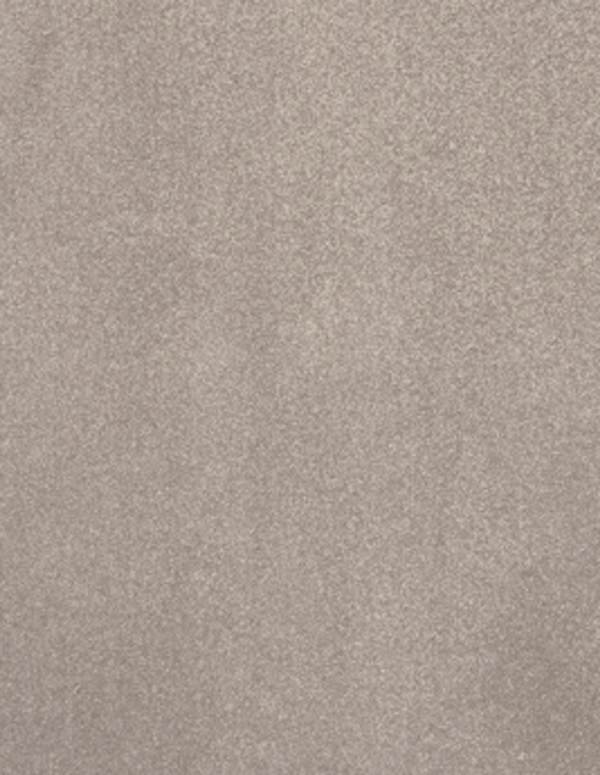 Moquette shaggy SATISFACTION 5M, col taupe, rouleau 5.00 m