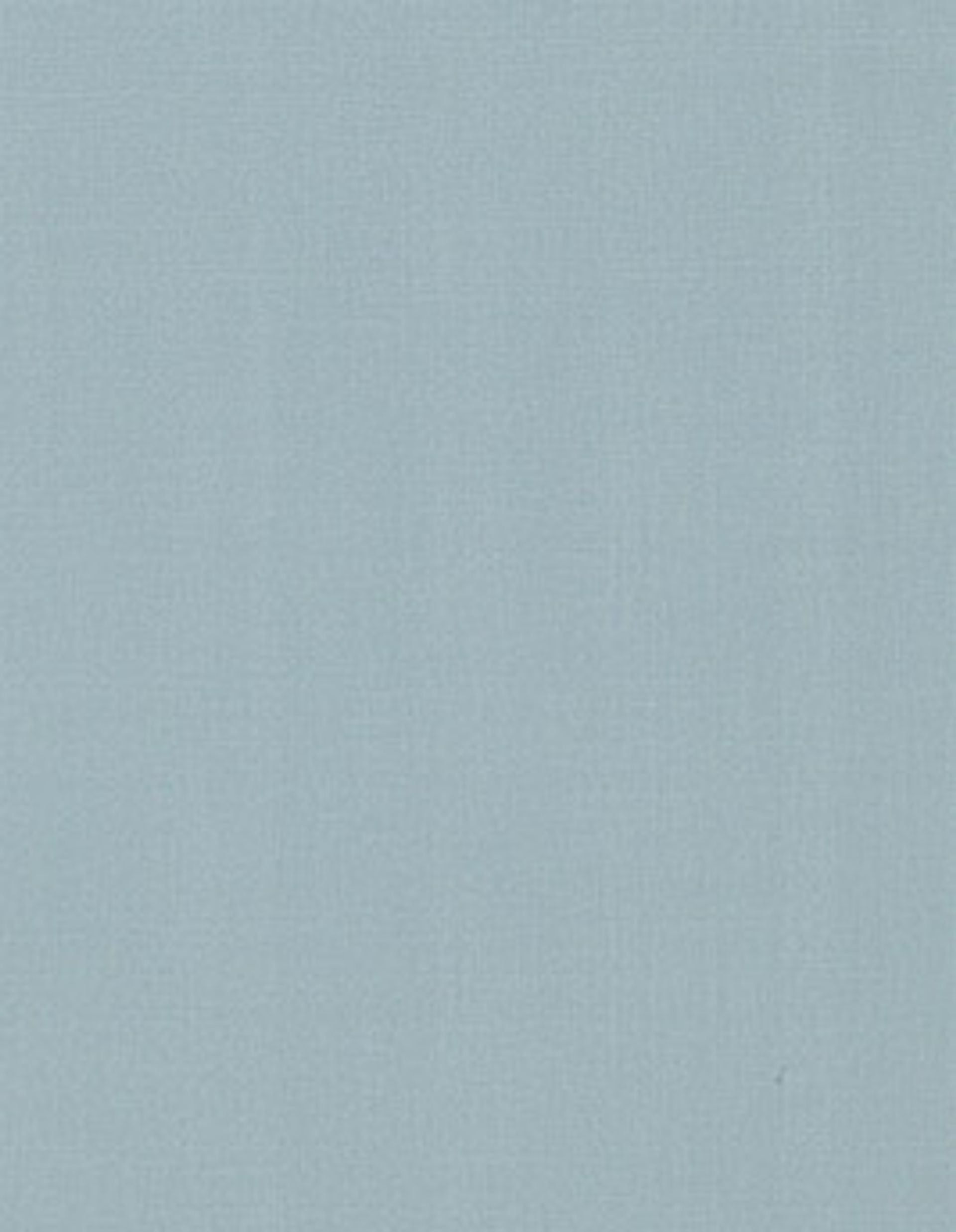 Papier peint TOILE BN International, Vinyle sur intissé décor Unis / Faux unis, gris acier