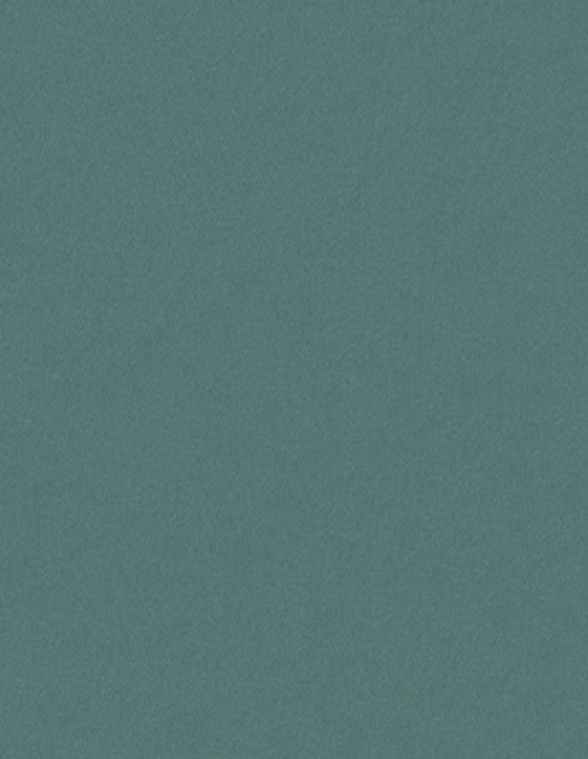 Papier peint TOILE BN International, Vinyle sur intissé décor Unis / Faux unis, colvert