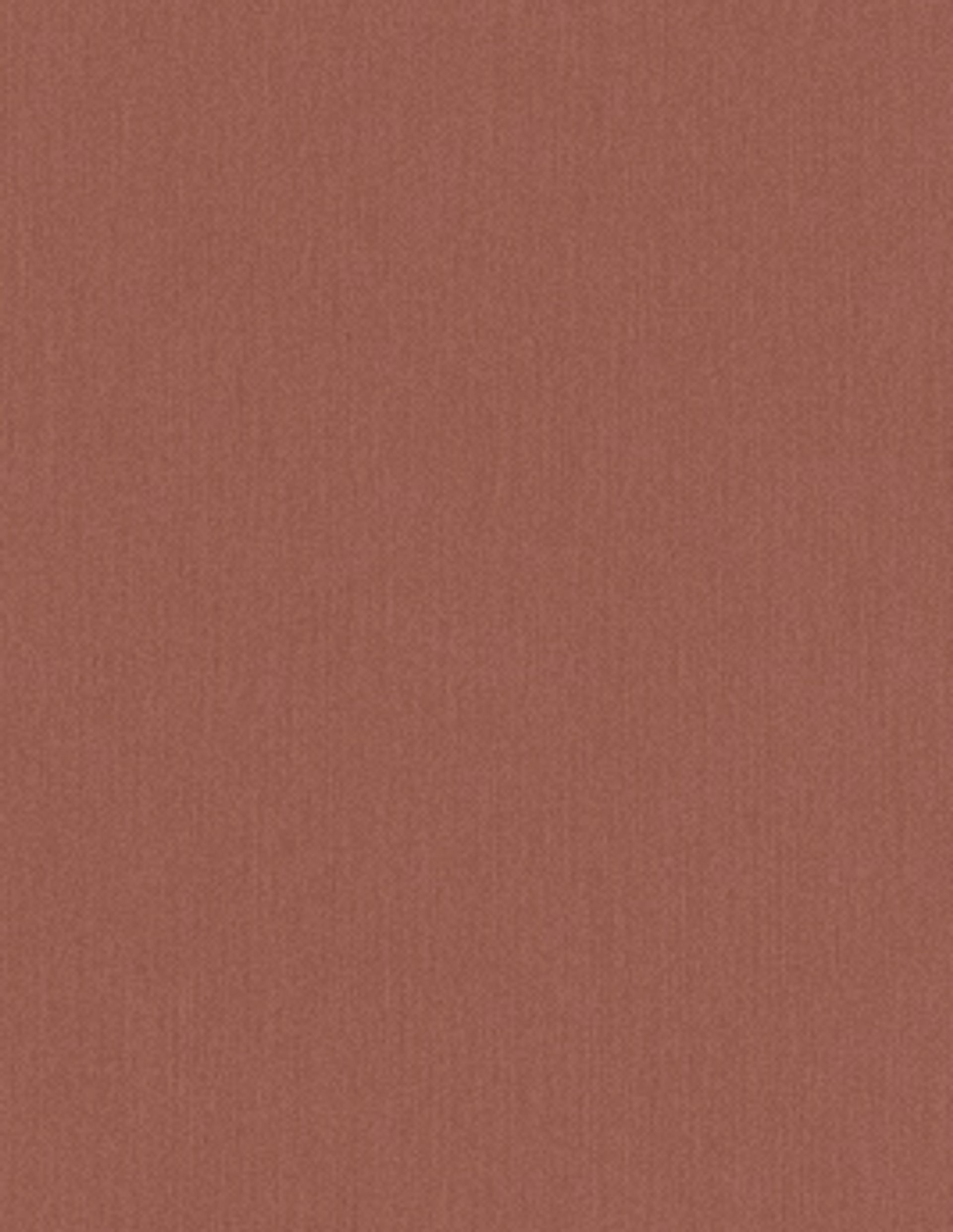 Papier peint TOILE BN International, Vinyle sur intissé décor Unis / Faux unis, terracotta