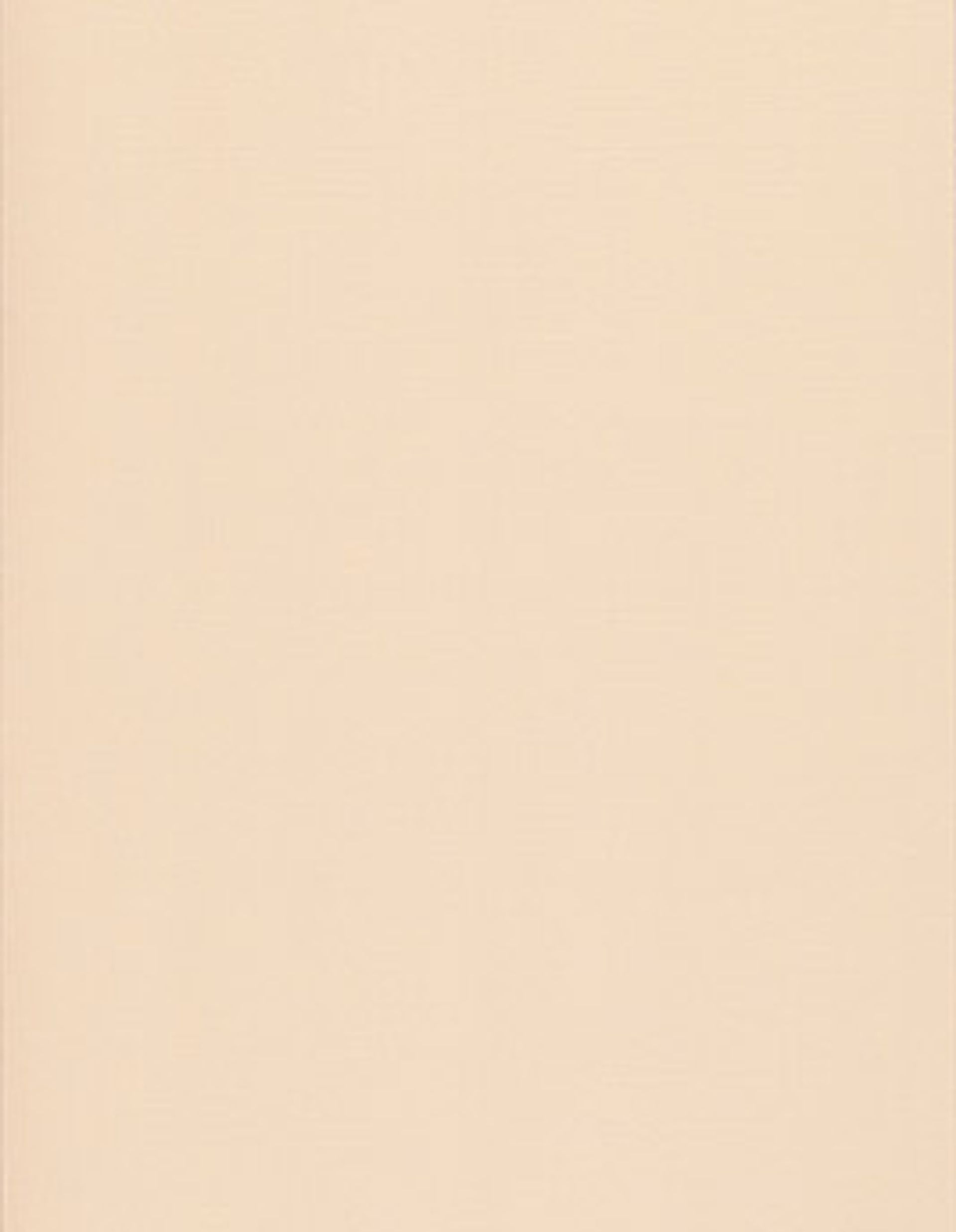 Papier peint TOILE BN International, Vinyle sur intissé décor Unis / Faux unis, terracotta