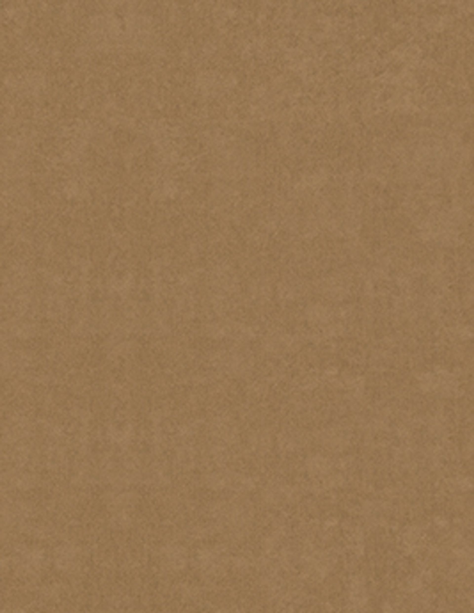Papier peint MILA Montecolino,  décor Unis / Faux unis,  marron
