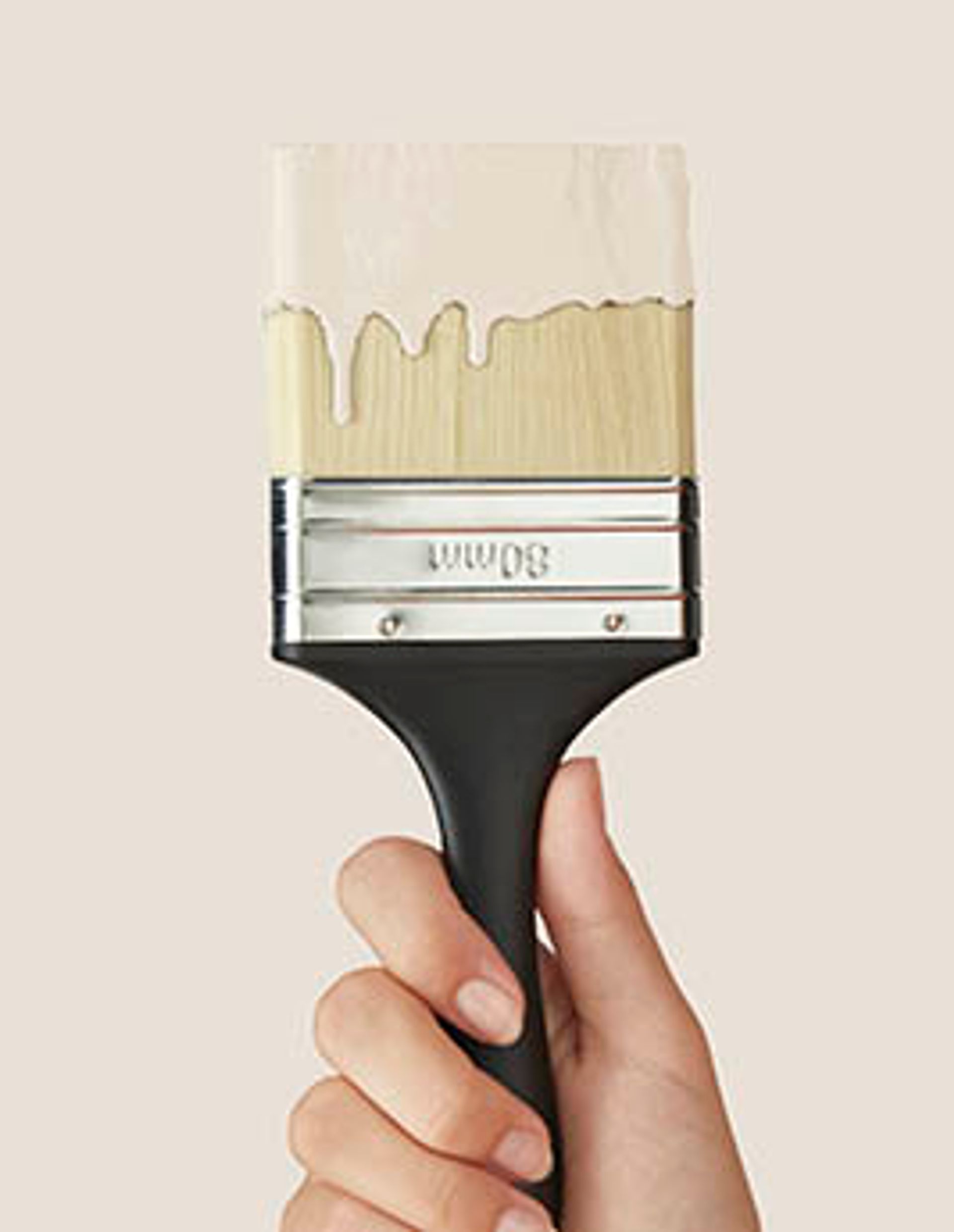 Peinture MUR & BOISERIES MAT, ANIS