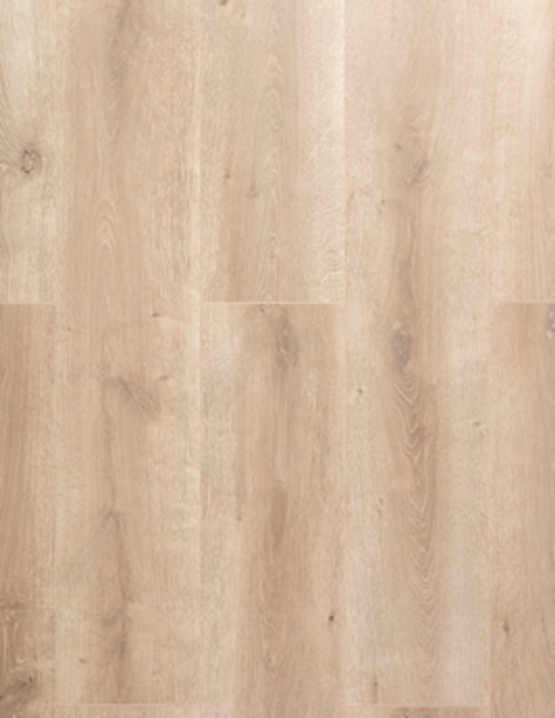 Sol stratifié EASYLIFE 8 MM HYDRO Easylife, aspect Bois naturel, lame 19.20 x 128.50 cm