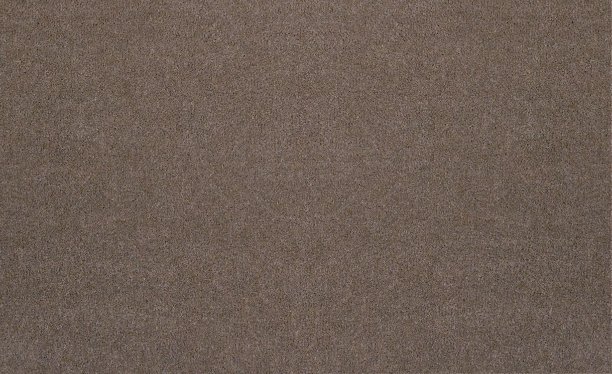 Moquette velours ANCY 5, col taupe, rouleau 5.00 m