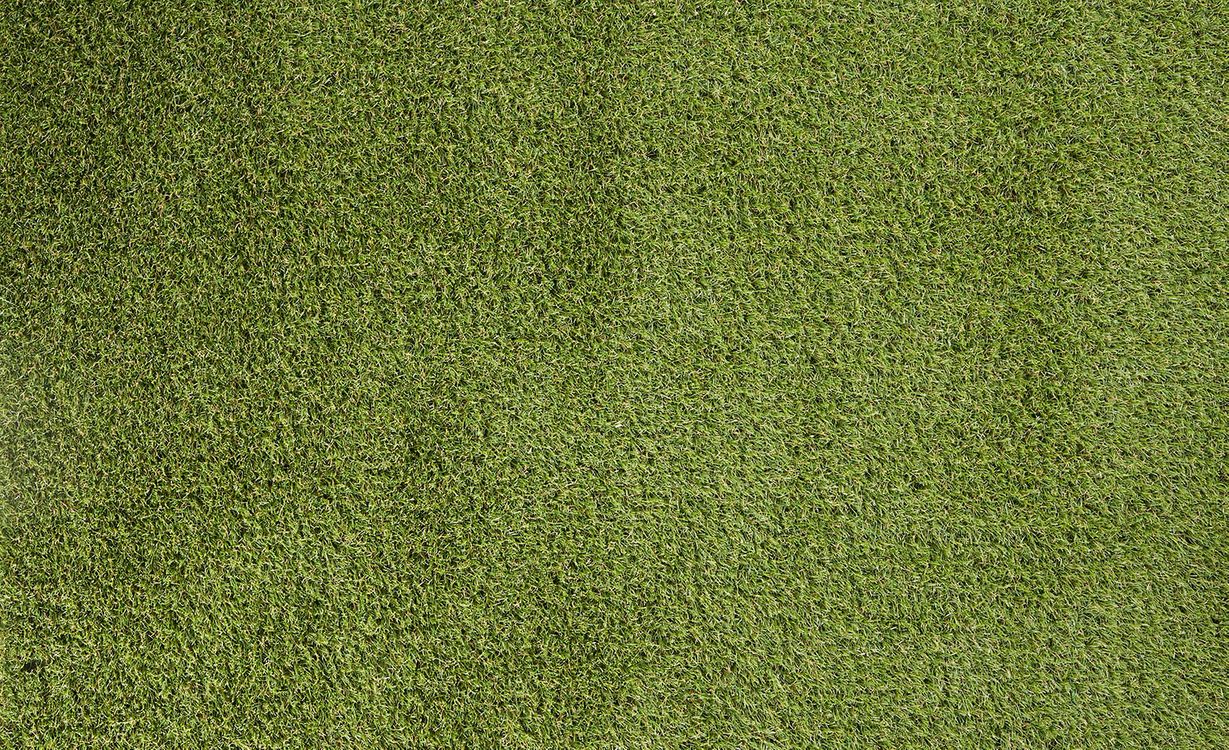 Gazon synthétique PALMA 4M, épaisseur 22.00mm, rouleau 4.00 m