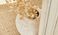 Jonc de mer NICOBAR, col NATUREL, rouleau 4.00 m