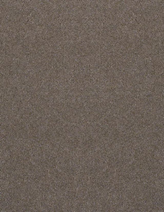 Moquette velours ANCY 5, col taupe, rouleau 5.00 m