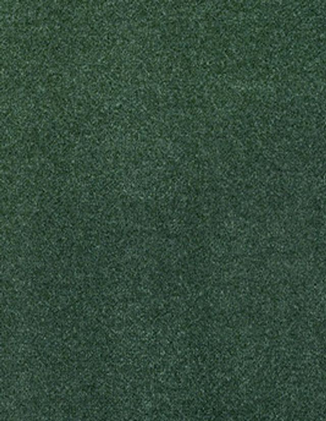 Moquette velours ANCY , col vert bouteille, rouleau 4.00 m
