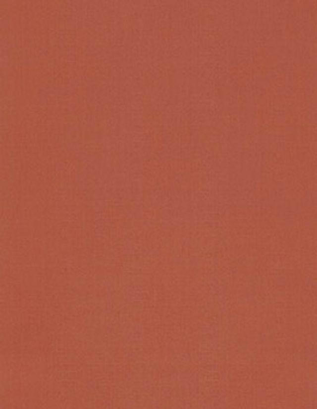 Papier peint TOILE BN International, Vinyle sur intissé décor Unis / Faux unis, brique