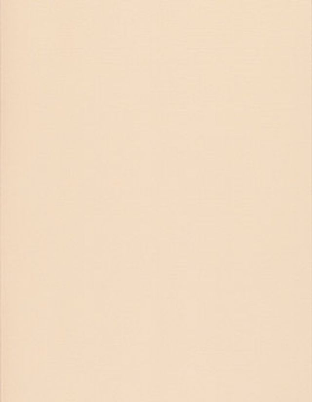 Papier peint TOILE BN International, Vinyle sur intissé décor Unis / Faux unis, coquille d'oeuf
