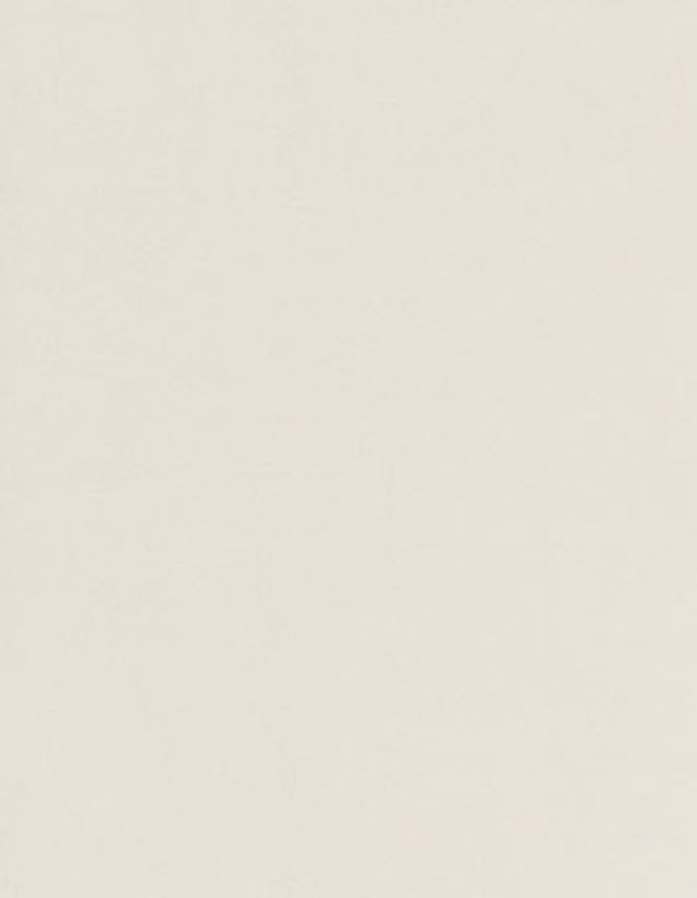 Papier peint BETON Lutece, Vinyle sur intissé décor Unis / Faux unis, gris