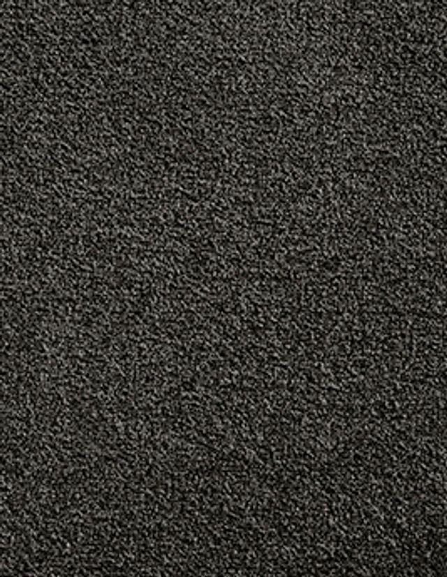 Moquette velours PINTURA 5M, col gris anthracite, rouleau 5.00 m