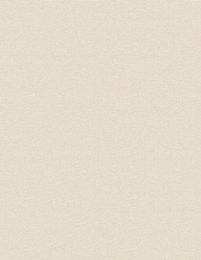 Papier peint TIBALT Caselio, Vinyle sur intissé décor Unis / Faux unis,  blanc