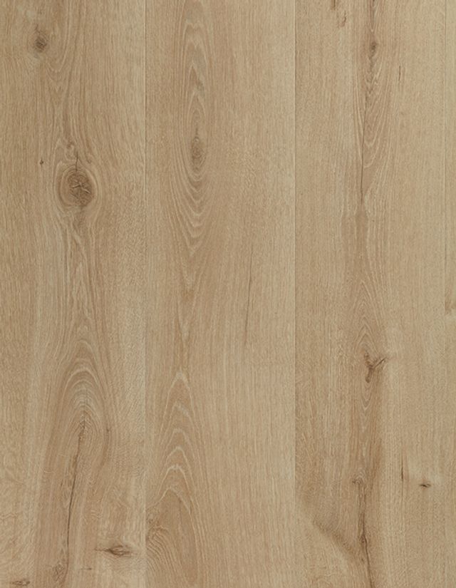 Sol stratifié MAJESTIC Quick Step, aspect Bois chêne de la vallée beige clair, lame 24.00 x 205.00 cm